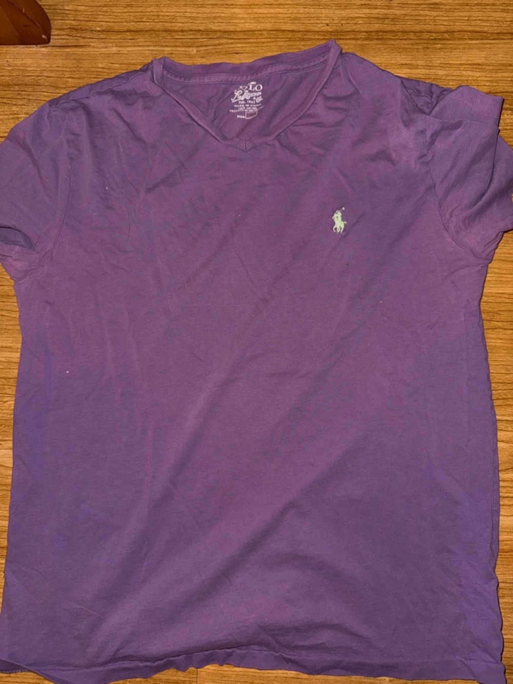 Polo by Ralph Lauren Purple V-Neck Tee with Mint Logo